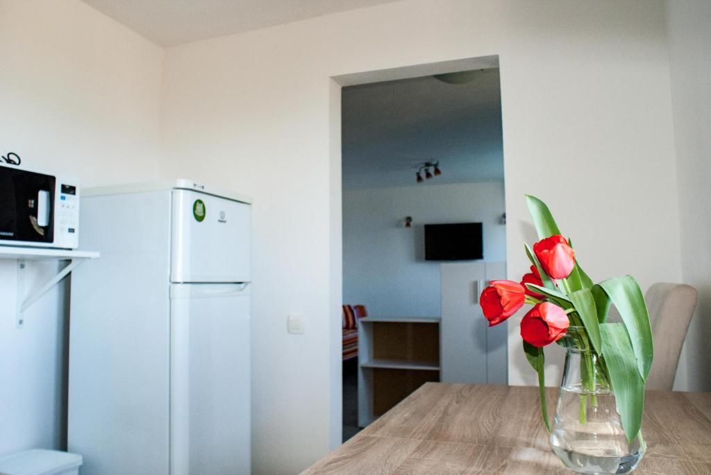 Апартаменты Apartments Siesta Тиват-55