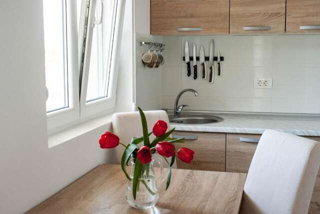 Апартаменты Apartments Siesta Тиват-56